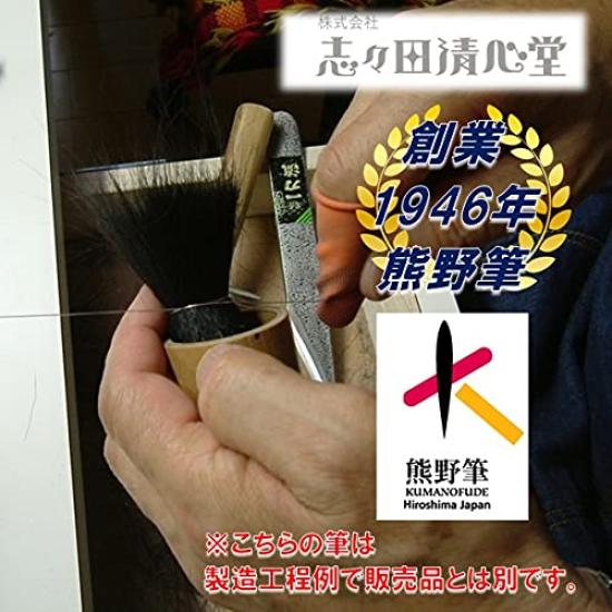 Shishida Seishindo Kumano Brush Lip Brush Natural Kumano Made In 661 Auto, 100% Horsehair, Certified, Japan,