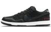Nike Sb Dunk Low Wasted Youth DD8386-001