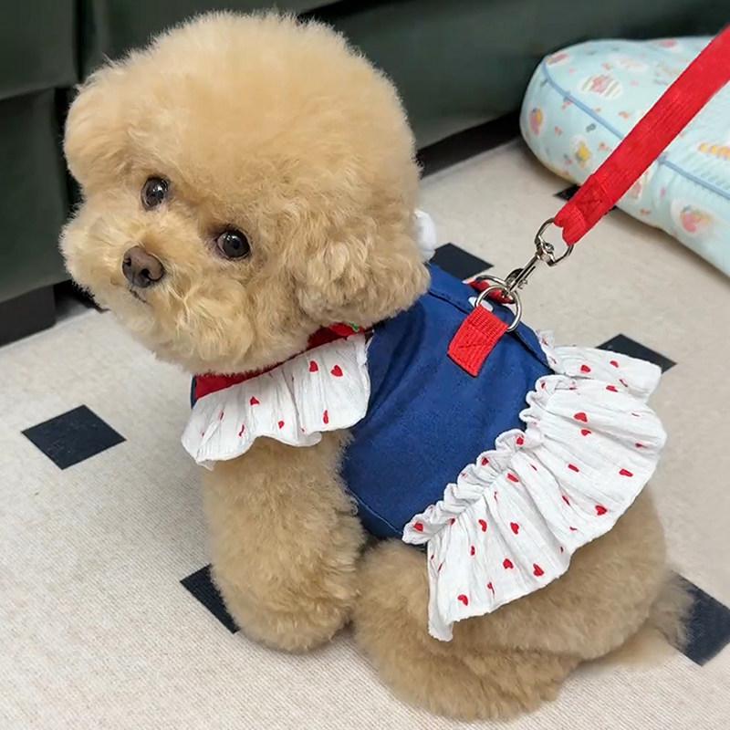 Denim Teddy Bichon Puppy Clothes for Small Dogs - Cute Leashed Harness, Autumn/Spring Style