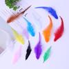 Encrypted Colored Turkey Feather Strips for DIY Decorations & Stage Costumes