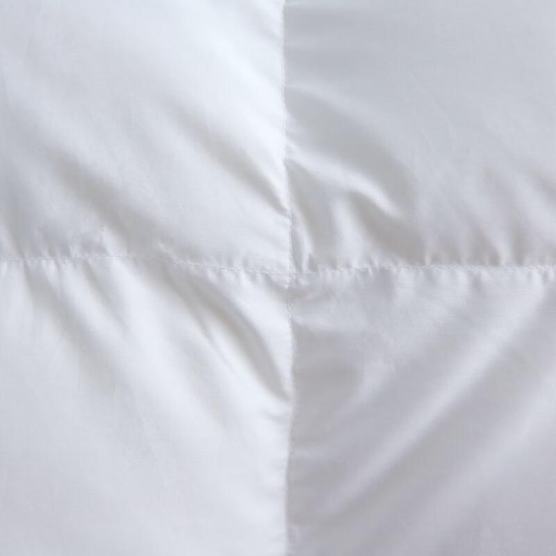 Baiweisi All-Season Velvet Feel Duvet Insert