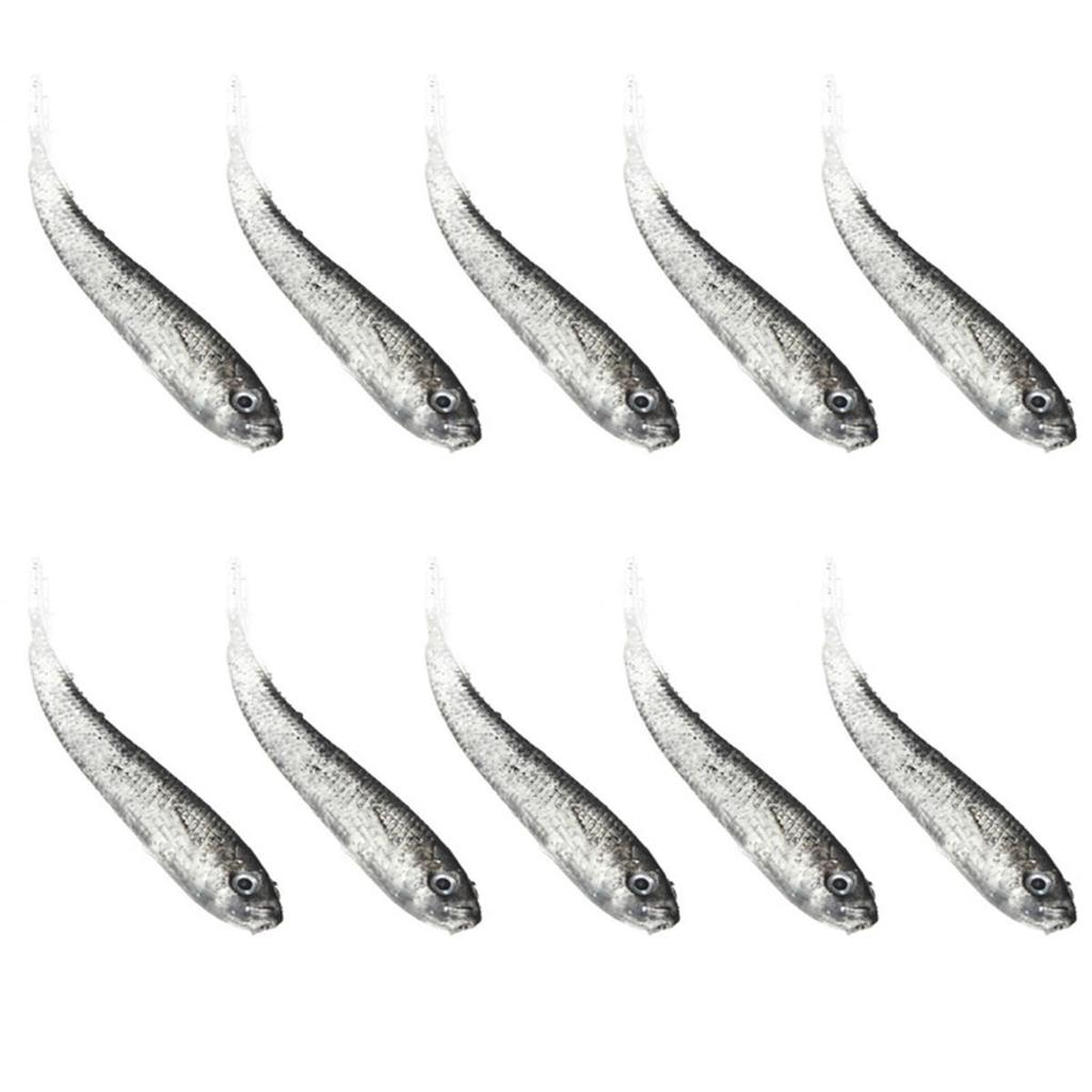 50x Bionische Fliegenköder - Weiche Köder Für Forelle & Barsch