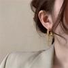 Ear Accessory Women's Drop Earrings Metal Dangle Earrings Tassel Geometric Earrings  Wedding