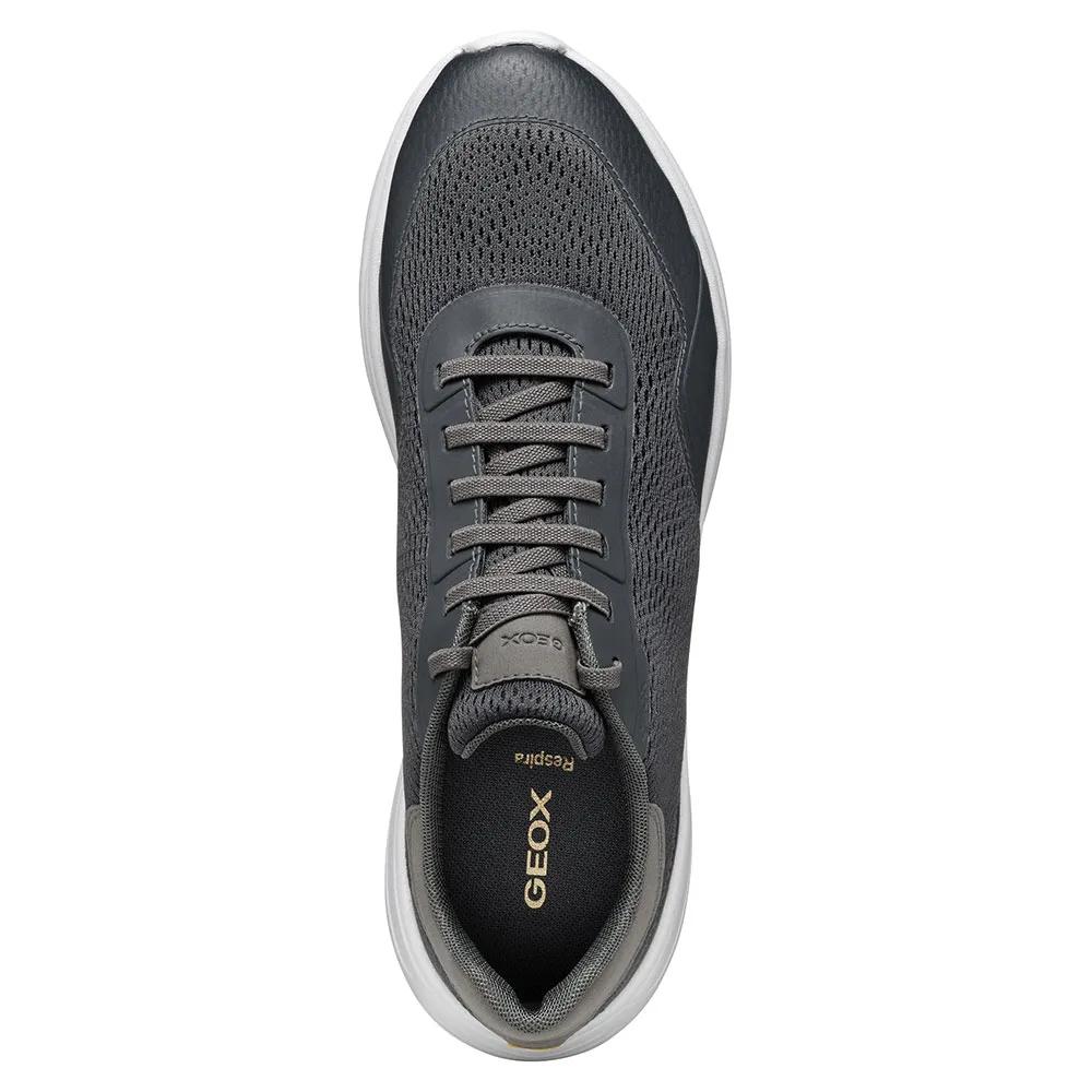 Geox Sneakers Klaiver