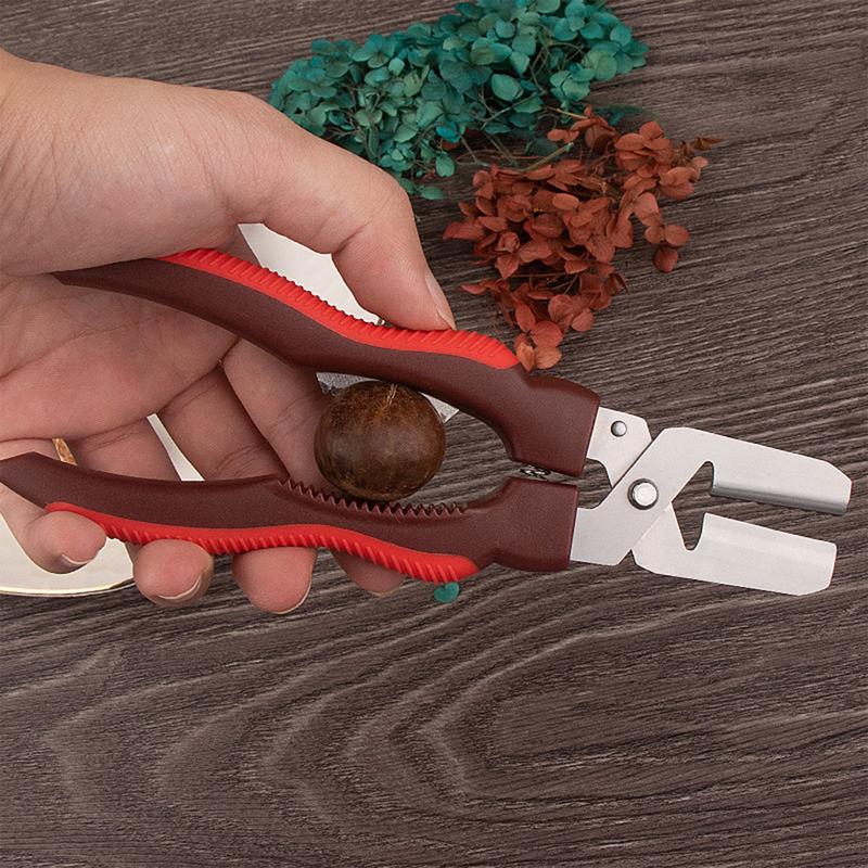 Casse-marron Décortiqueur de marrons Poignée compacte ergonomique Polyvalent Robuste Décortiqueur de marrons solide Pour fruits secs