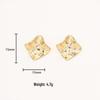 High-End European & American Style Irregular Fashion Earrings for Women