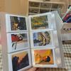 Polaroid Photo Album 120/240 Slots-Instant Film Picture Storage Book for Polaroid Photos,Postcards,Greeting Cards &Memory Photos