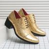 Men's Cross-Border Formal Leather High-Heeled Wedding and Office Shoes