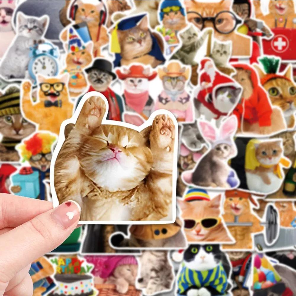 10/30/50pcs Cute Funny Animal Cat Meme Stickers Creative Cartoon Sticker Water Bottle Notebook Phone Graffiti Decals Decoration