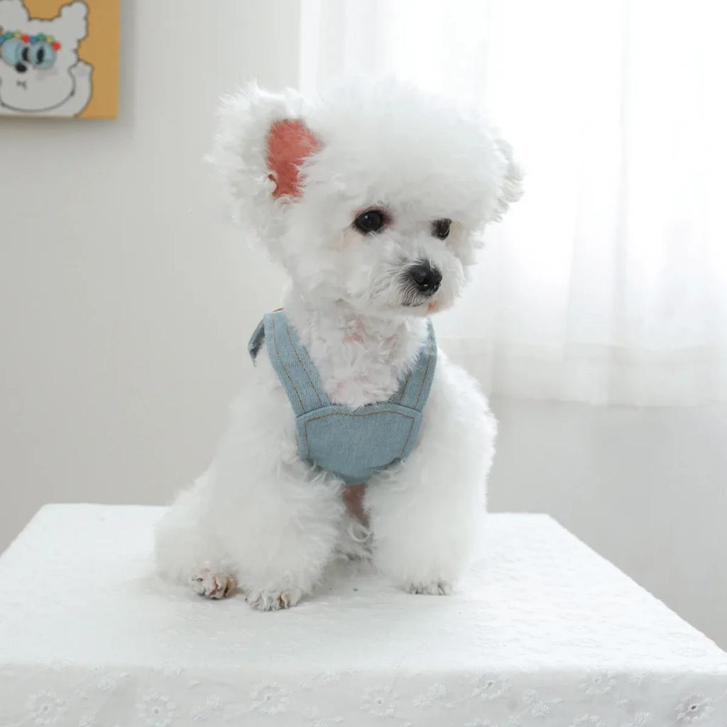 Haustier Cowboy Stickerei Kleine Blume Strap Rock Hund Katze Kleidung Herbst/Winter Neue Blume Schatz Cowboy Rock