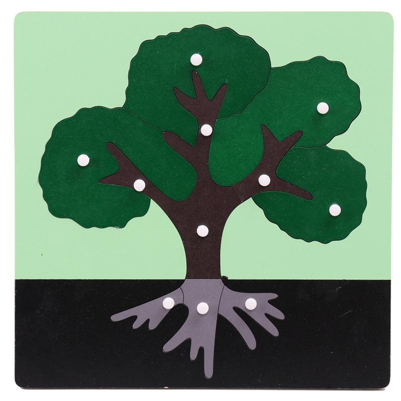 

Montessori Educational Animal & Plant Insets: Wooden Puzzles for Kids Intellectual Development & Science Learning
