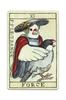 Nichiyu original tarot cards 78 sheets Marseille version fortune telling Marseille Tarot BIRD TAROT DE MARSEILLE by birds drawn by creator NORISAN