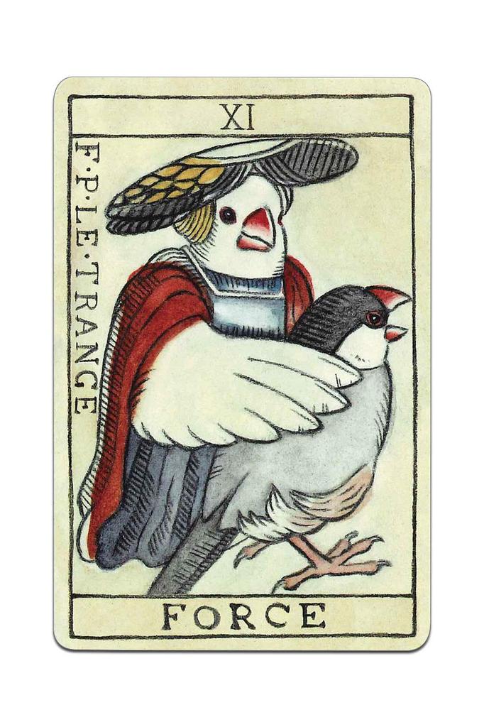 Nichiyu original tarot cards 78 sheets Marseille version fortune telling Marseille Tarot BIRD TAROT DE MARSEILLE by birds drawn by creator NORISAN