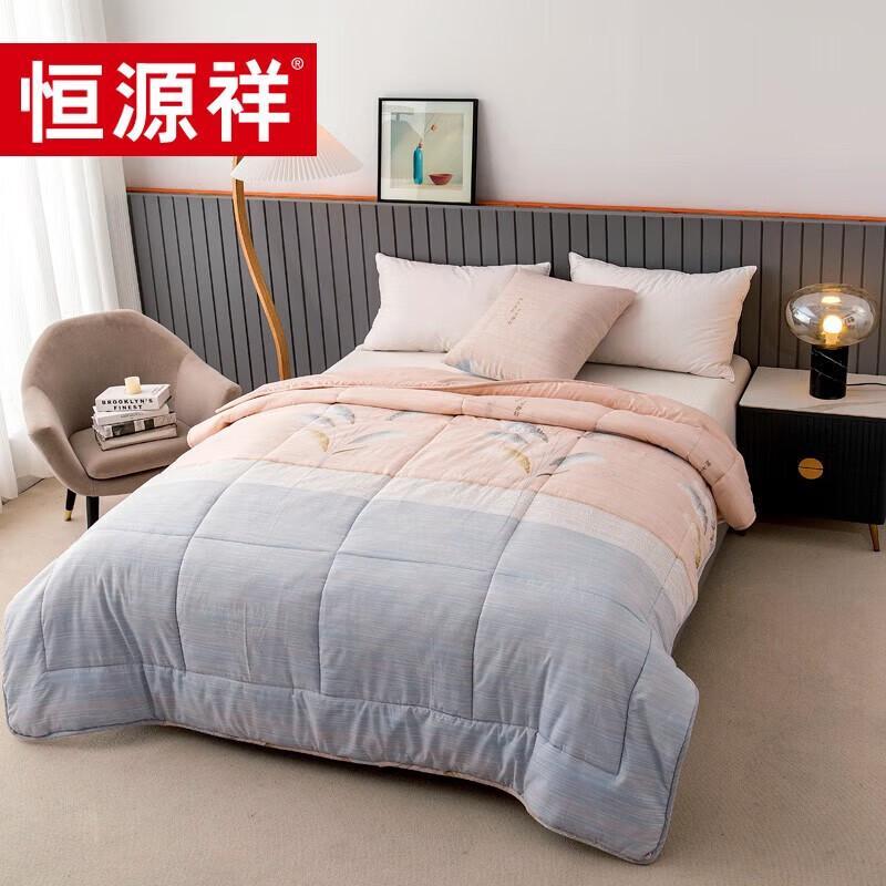 Hengyuanxiang 2-in-1 Travel Pillow and Blanket