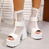 Hollow Martin Boots Summer Thin Breathable Mesh Single Boots 22 Years New Belt Buckle Thick Sole Thick Heel Short Boots