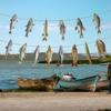 Fisherman Themed Paper Fish Garland DIY Fish Flag Decorations  Birthday Parties
