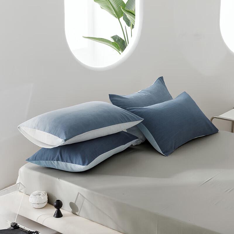 HAYLAN HOME Milk Velvet 4-Piece Bedding Set