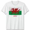 Wales Cymru Welsh Flag Unisex Tshirt Patriotic Welsh Pride Apparel
