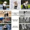 1PC Durable Waterproof Breathable Outdoor Pet Rain Boots Taking Photos Anti Slip Holidays Comfortable Multiple Sizes