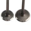 Head Intake Exhaust Valves Seals For Honda SH S-Wing Pantheon 125 150 2001-12