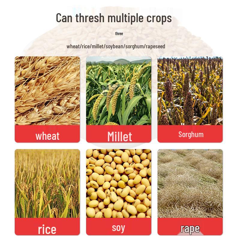 Multifunctional Thresher and Shelling Machine for Wheat, Rice, Soybean, Rapeseed, Sorghum, and Millet