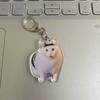 Trendy Cat Head Keychain Fun Meme Image Backpack Small Pendant Wholesale Internet Famous Emotionally Expressive Toy Figure
