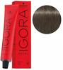 Schwarzkopf Igora Royal Hair Dye 60ml 7-24 Medium Ash Beige Blonde