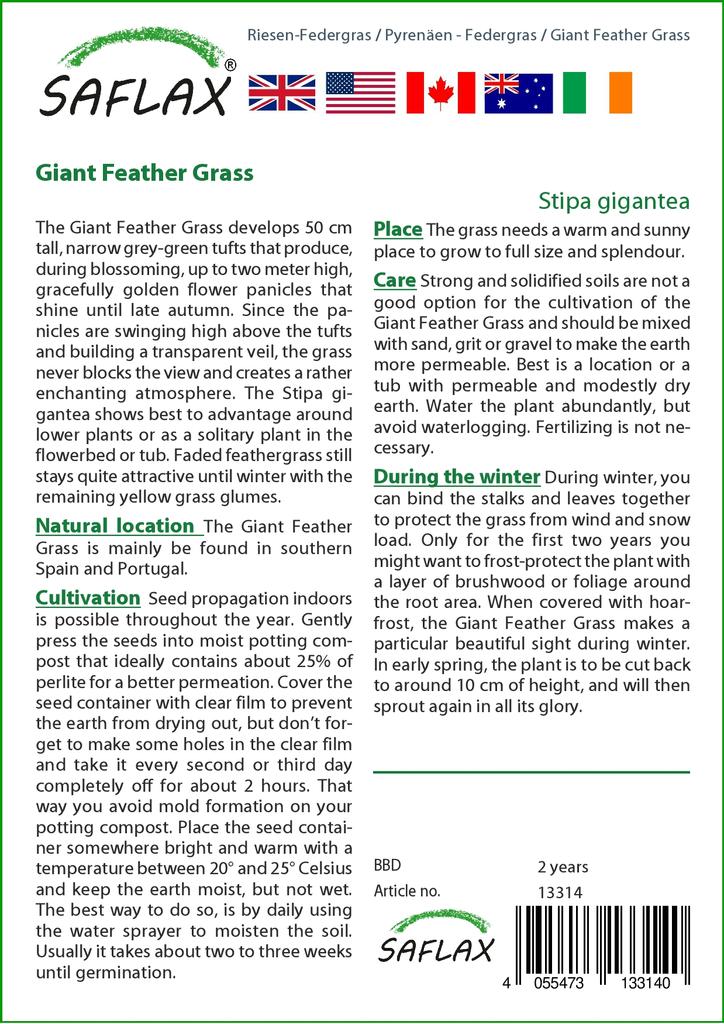 SAFLAX Zahrada v pytli - Obří péřová tráva - 10 semen - Se substrátem v padnoucím sáčku - Stipa gigantea