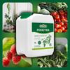 Nawóz Z Pokrzywy Stymulator Do Pomidora Ogórka Naturalny Biovita 5L