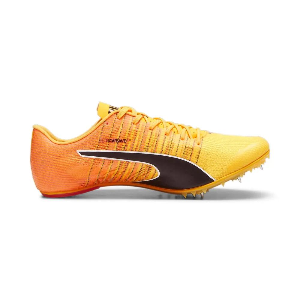 

Puma Легкоатлетические шиповки Teamwear Evospeed Future 6 43
