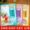 Essential Classics Memorization Plan for Elementary Students - Chinese Special Training