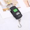 Precision Handheld Electronic Hook Scale (CN Version)