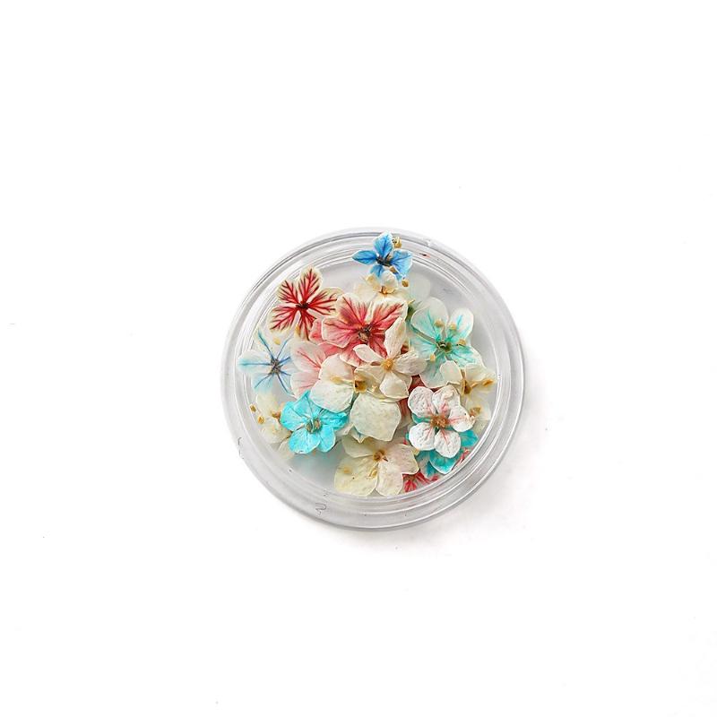 BEPAN 1PCS Summer Gradient Floral Nail Art Dried Flower Mixed Colors Natural Pressed Flowers Handmade DIY Boxed Wearable Nail Material