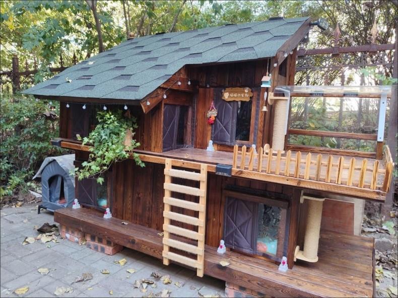 2025 Winddichtes & Isoliertes Outdoor Haustierhaus mit Wintertürvorhang - Regen- & Schneesicher