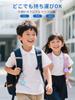 Quietide Airplane Earplugs Ages with Pressure Prevent Hearing Reduce Noise Improve Concentration on and Carrying Case Japanese Instruction Manual Q52