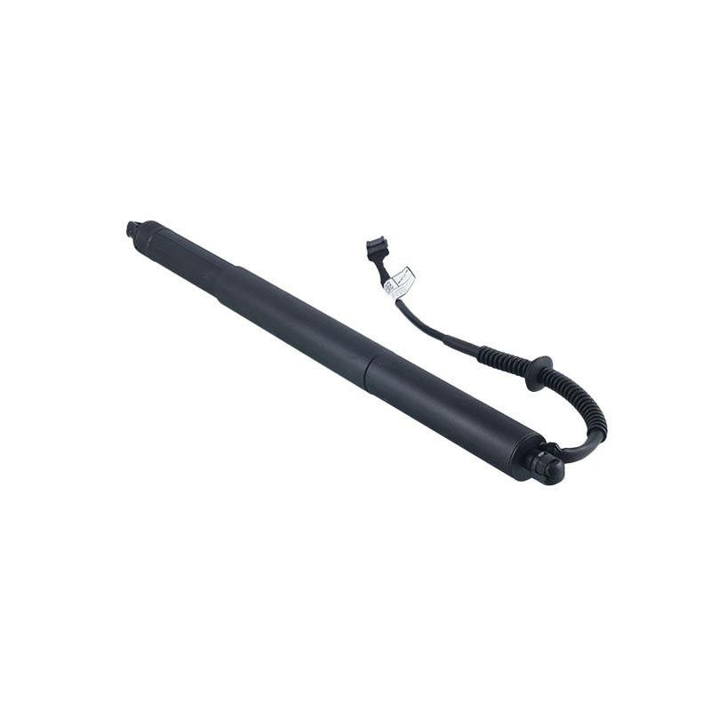 Electric Strut for BMW F15 (51244823279/51248232280)