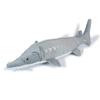 Exciting Illustrated Guide Freshwater Creatures Edition Animal Plush Toy - (Sturgeon)