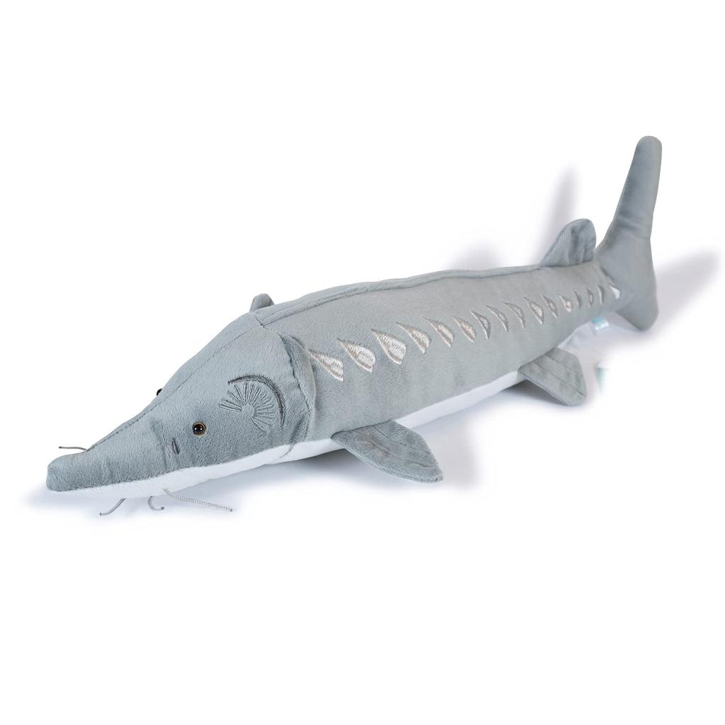 Exciting Illustrated Guide - Freshwater Creatures Edition Animal Plush Toy (Sturgeon)