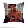 D-Dexter Pillow Case Sofa Living Room Bedroom Headboard Backrest Cushion Square Cushion Nap Time