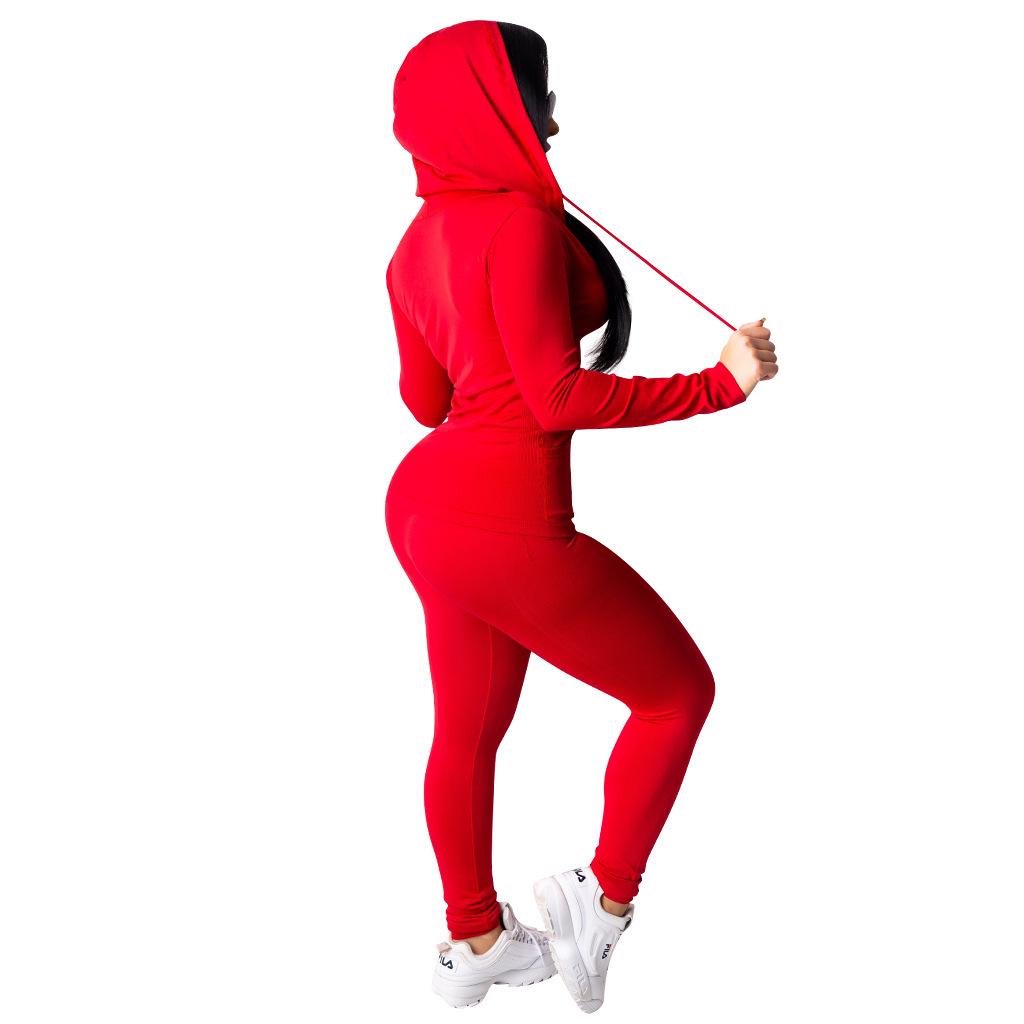 Sexy Lässiges Einfarbiges Zweiteiliges Set mit Kapuze für Damen, Frühjahr 2020