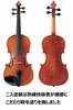 1/4 Size Violin Set V7SG for Ages 7-8, Includes Lightweight Case, Bow, and Rosin