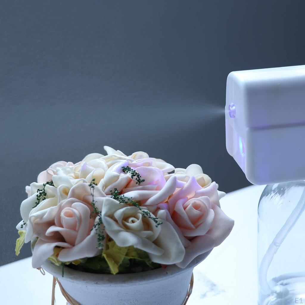 Electric Sprayer ion