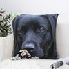 Take Time - Black Labrador Throw Pillow Luxury Sofa Pillows Cushions Rectangular Cushion Cover