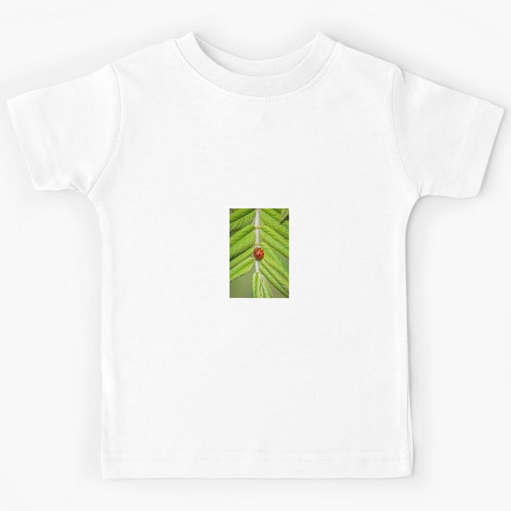 Ladybird Kids T-Shirt 130
