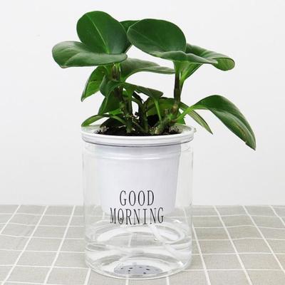 Round Hydroponic Plant Pots Self-watering Flowerpot Flower Pot Creative Succulent Automatic Water Absorption