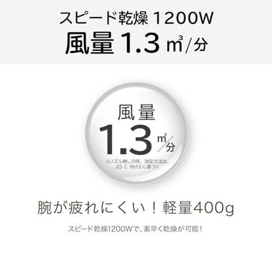 Koizumi Hair Dryer Monochrome Lightweight Compact Foldable Mini Negative Ion Black KHD-1392 BK
