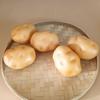4PCS Decorative Artificial Potato Models Restaurant Photography Props Foam Texture for Photography and Teaching Tool