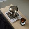USB Rechargeable Metal Mushroom Lamp Nordic Simple Modern Creative Unique Table Light Bedroom Bedside Night Lamp