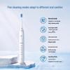 Panasonic Sonic Electric Toothbrush CN plug (adapter included)