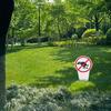 Jardinagem e paisagismo – Decoração de jardim